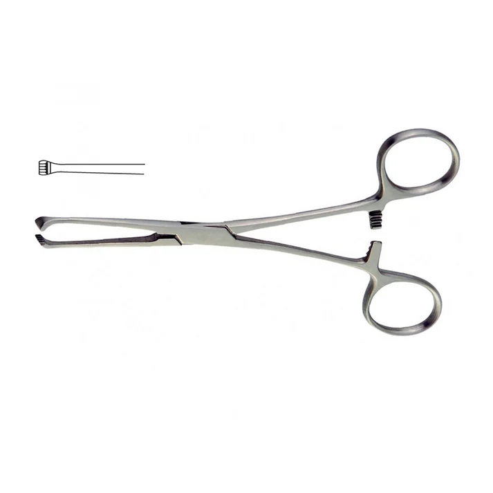 Allis Forceps — image 3