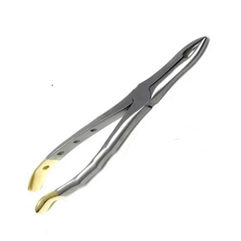 Gold Handle Extracting Forceps - 2