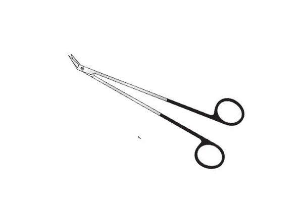 Potts Diethrich Scissors
