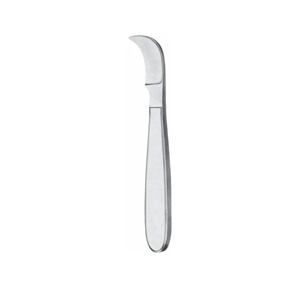 Reiner Plaster Knife 19cm Metal Handle