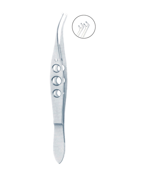 Article ID: WSO-85009